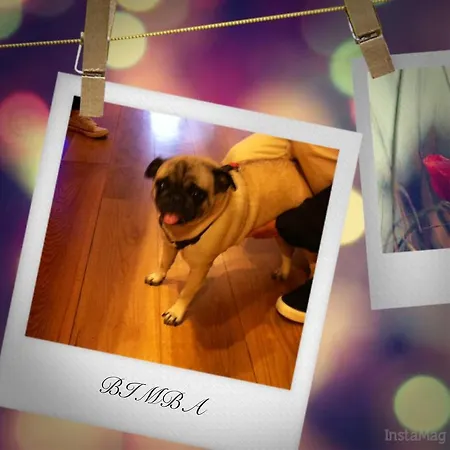 فندق مبيت وإفطار Hosteria Santander سانتاندر