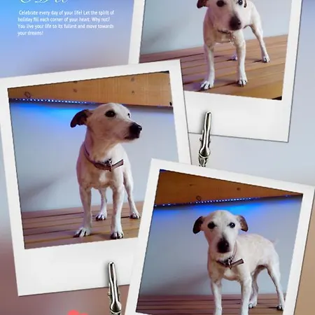 فندق مبيت وإفطار Hosteria Santander