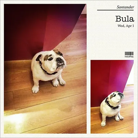 Hosteria Santander فندق مبيت وإفطار 3*