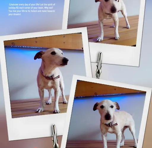 Frühstückspension Hosteria Santander