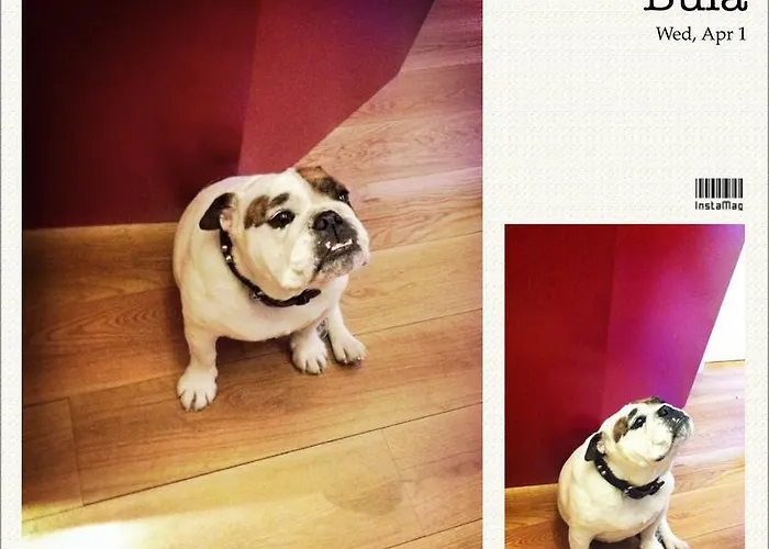 Hosteria Santander Отель типа 