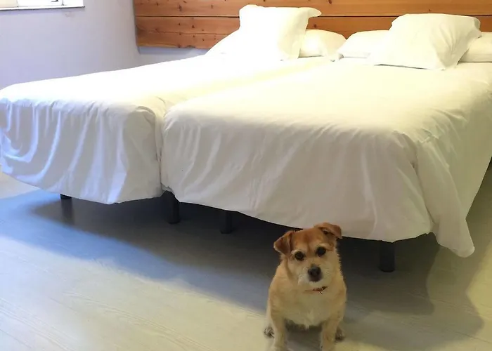 Hosteria Santander B&B 산탄데르