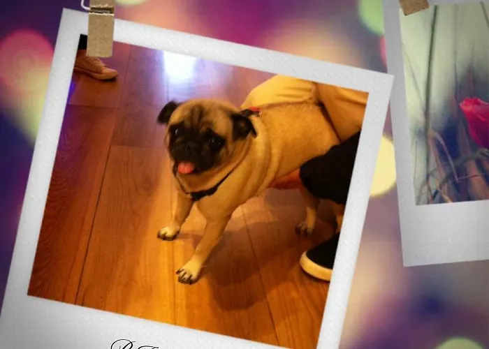 Bed & Breakfast Hosteria Santander Santander